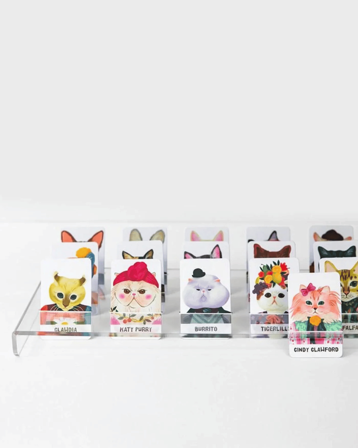 Guess the Feline Board Game by Journey of Something 