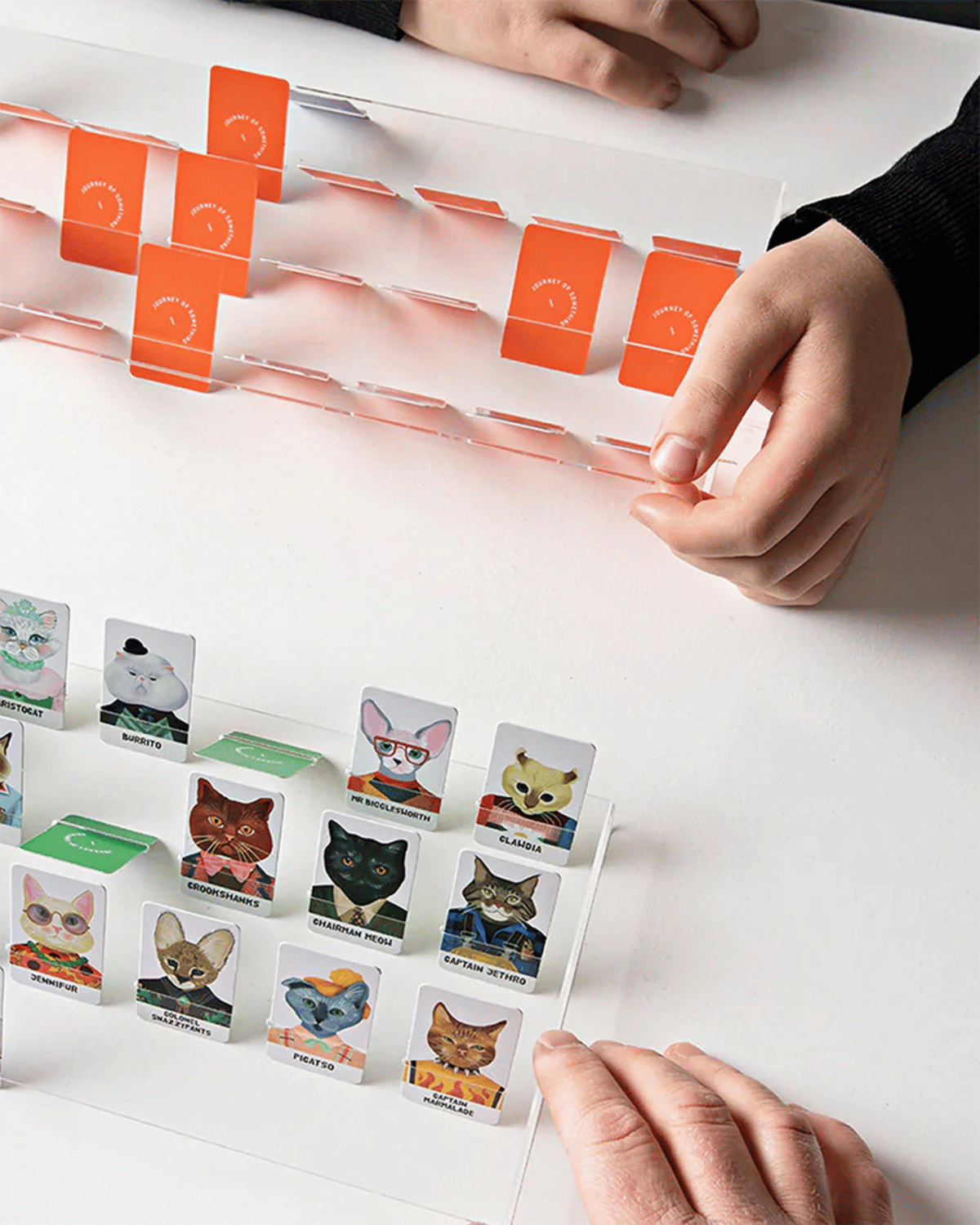 JOURNEY OF SOMETHING โ Guess the Feline Board Game ๐