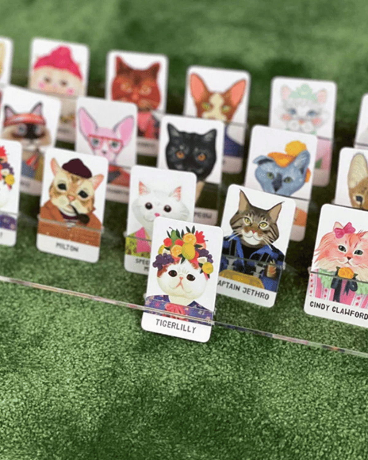 Guess the Feline Board Game by Journey of Something 