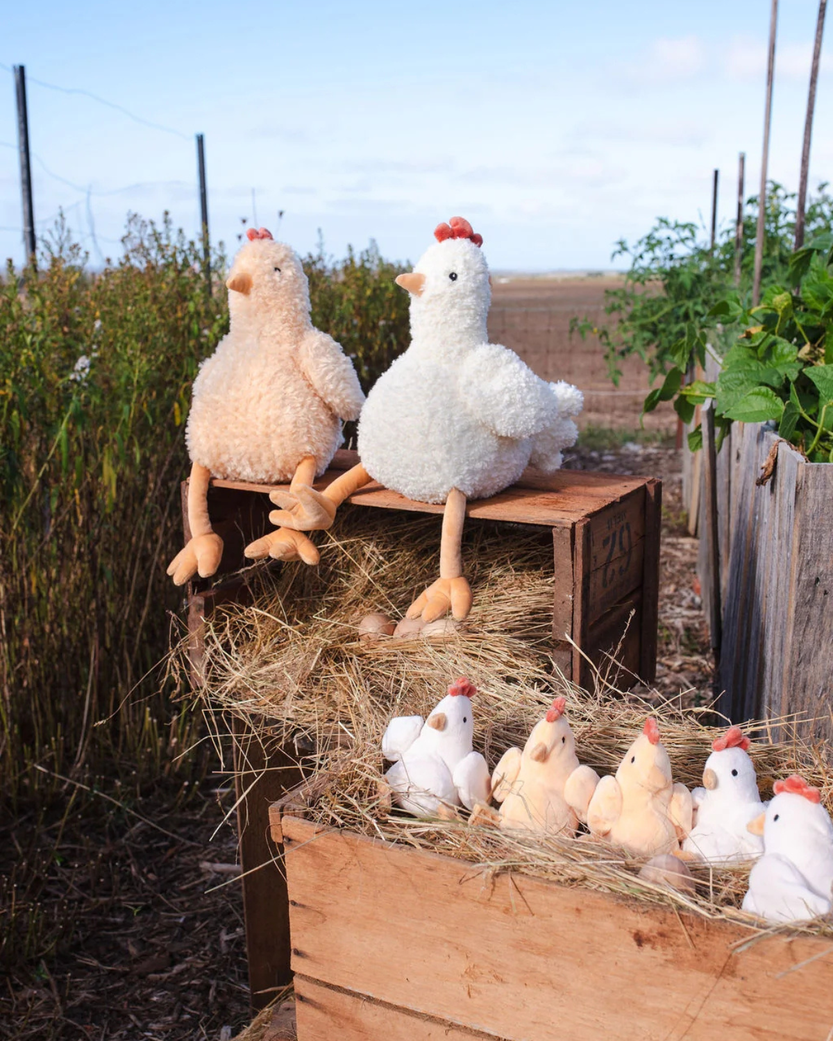 Harriet the Hen Rattle - Honey by Nana Huchy