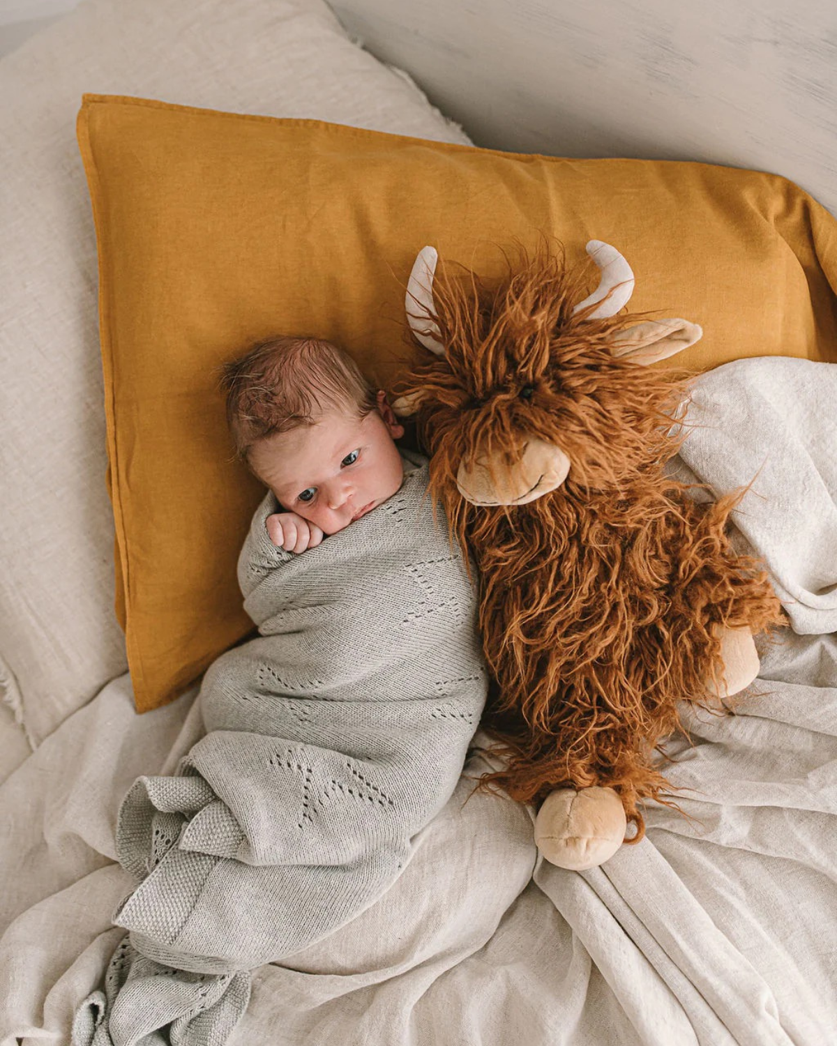 Henry the Highland Cow by Nana Huchy