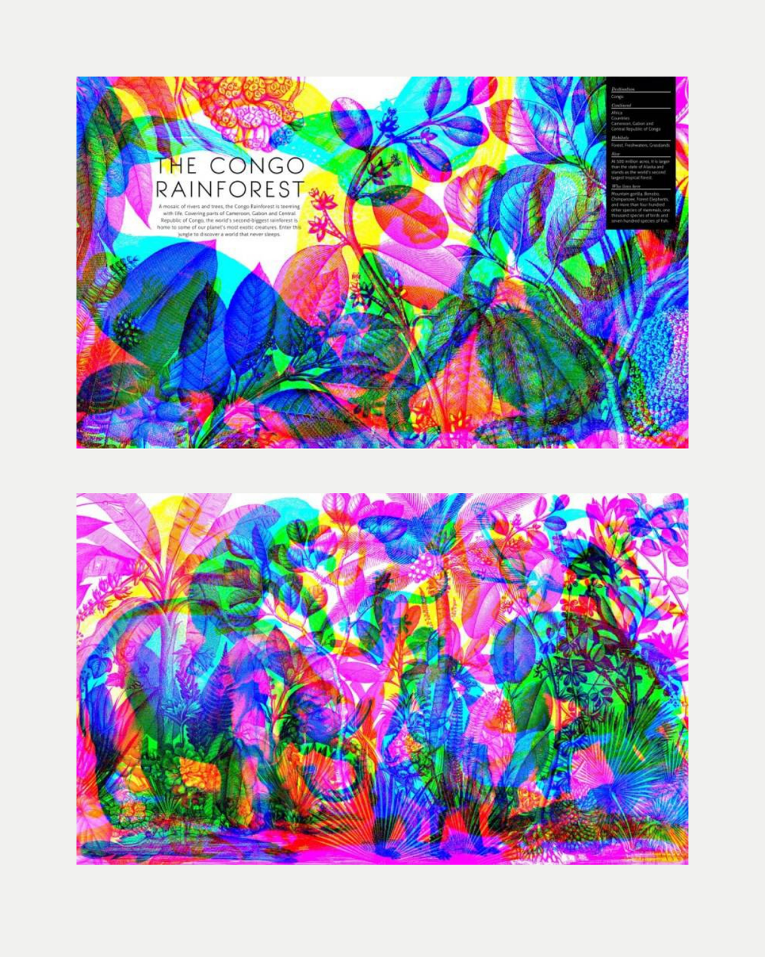 Illuminature - Children&
