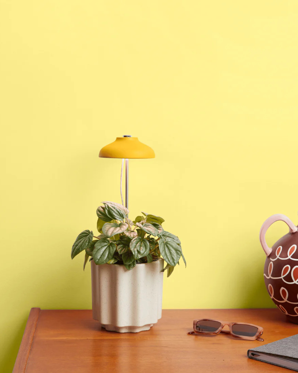 Instant Sun Grow Lamp by We The Wild