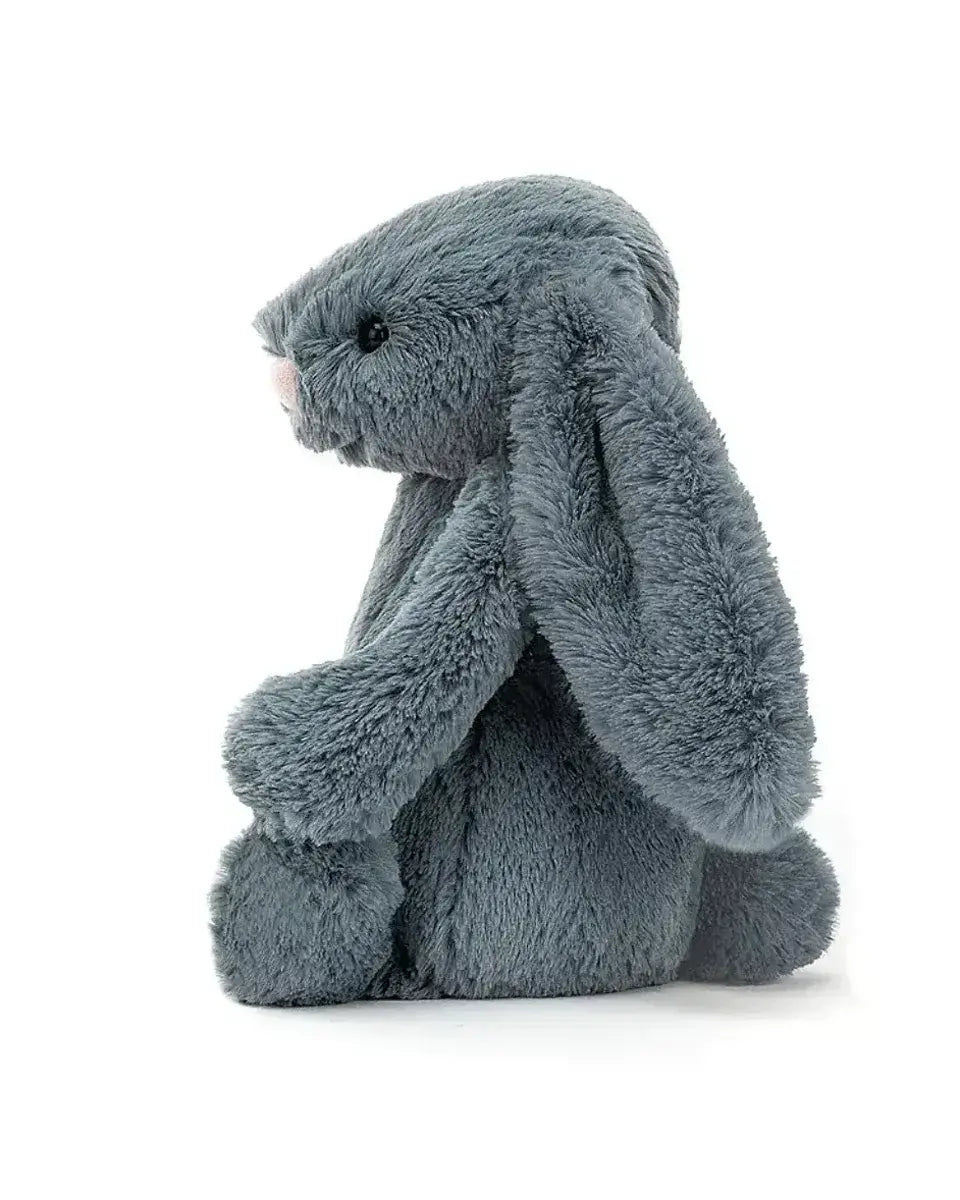 Blue Bunny for Baby