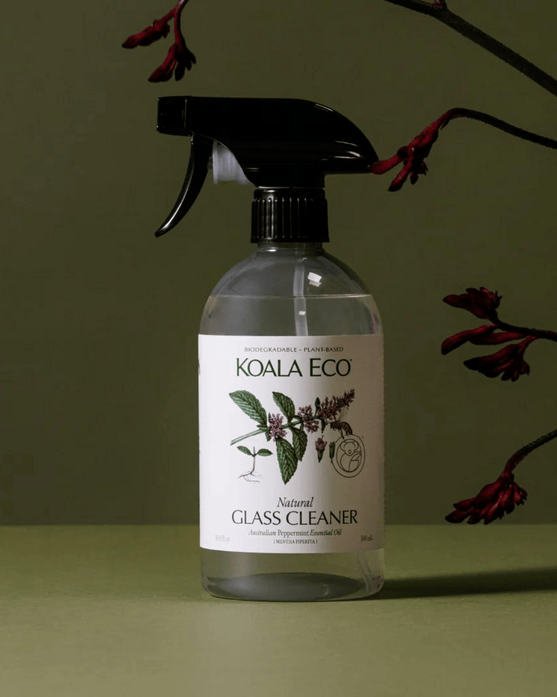 Natural Glass Cleaner by Koala Eco - Peppermint (500ml)