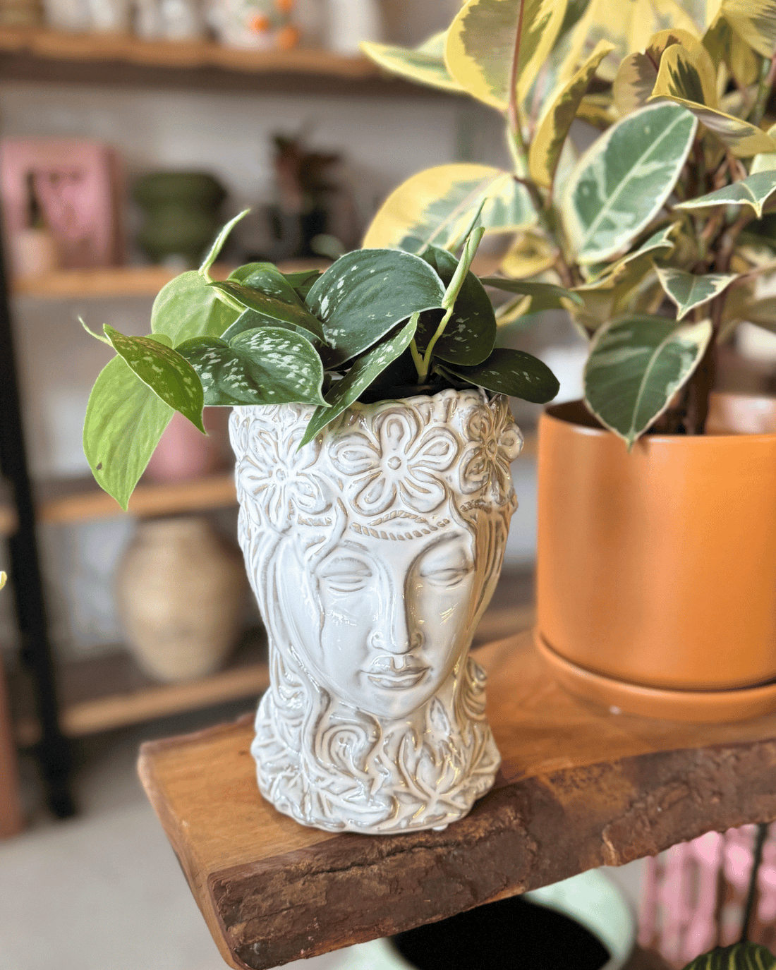 Lady Planter  - Muswellbrook Florist Polly &amp; Co