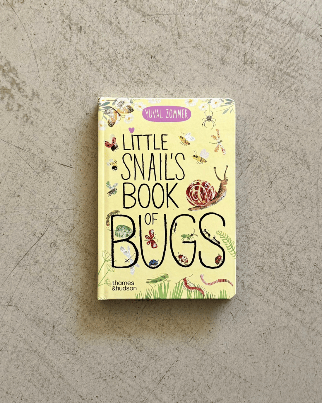 Little Snails Book of Bugs Board Book by Yuval Zommer