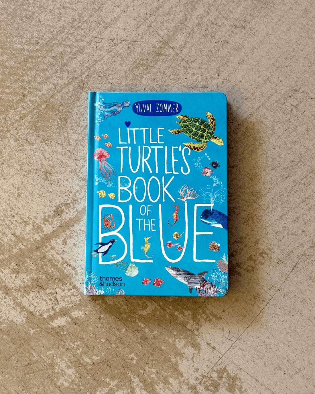 POLLY & CO BOOKS ❘ Little Turtle&