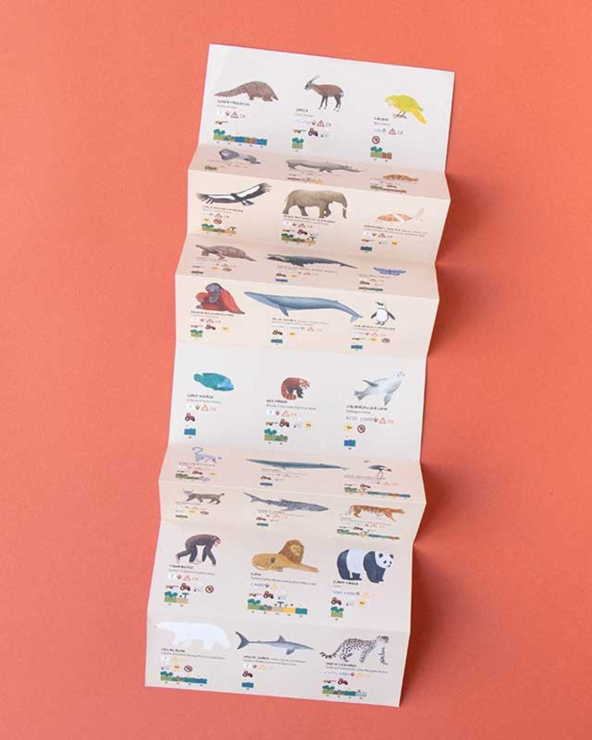 Animal Puzzle by Londji 