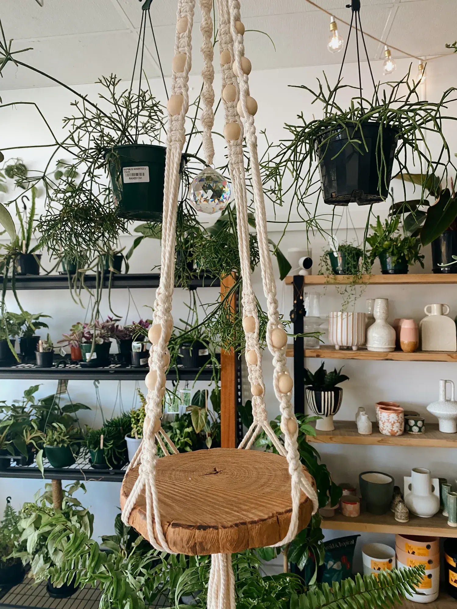 Macrame Hanging Planter - Crystal Ball, Hardwood Base, Natural Colour - Muswellbrook Indoor Plants Polly &amp; Co