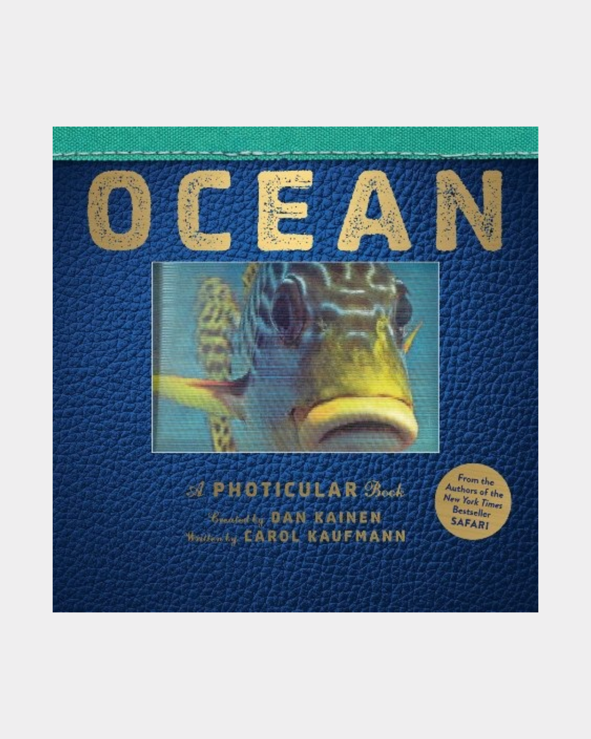 Ocean: A Photicular Book by Dan Kainen 