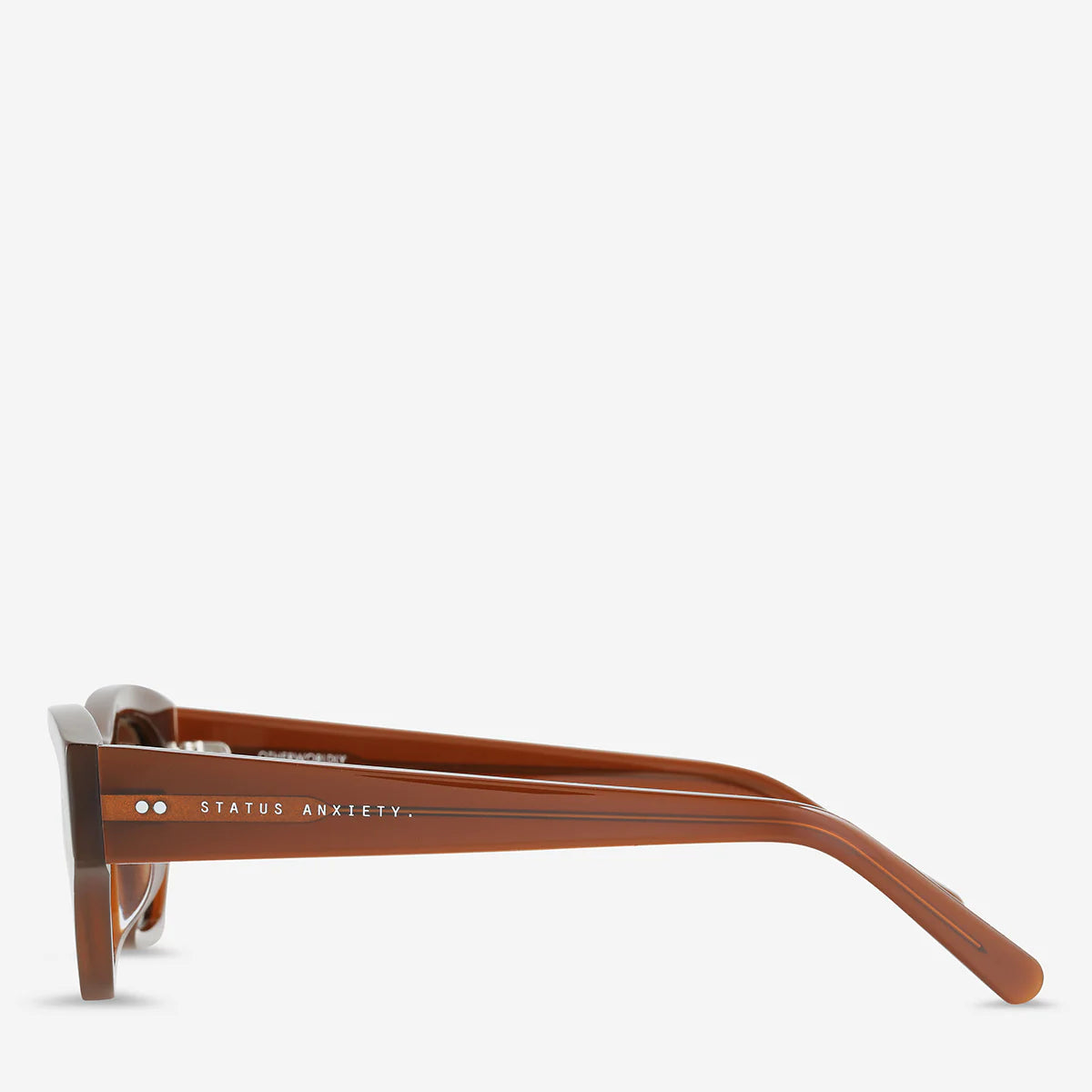 Status Anxiety Otherworldly Sunglasses in Brown