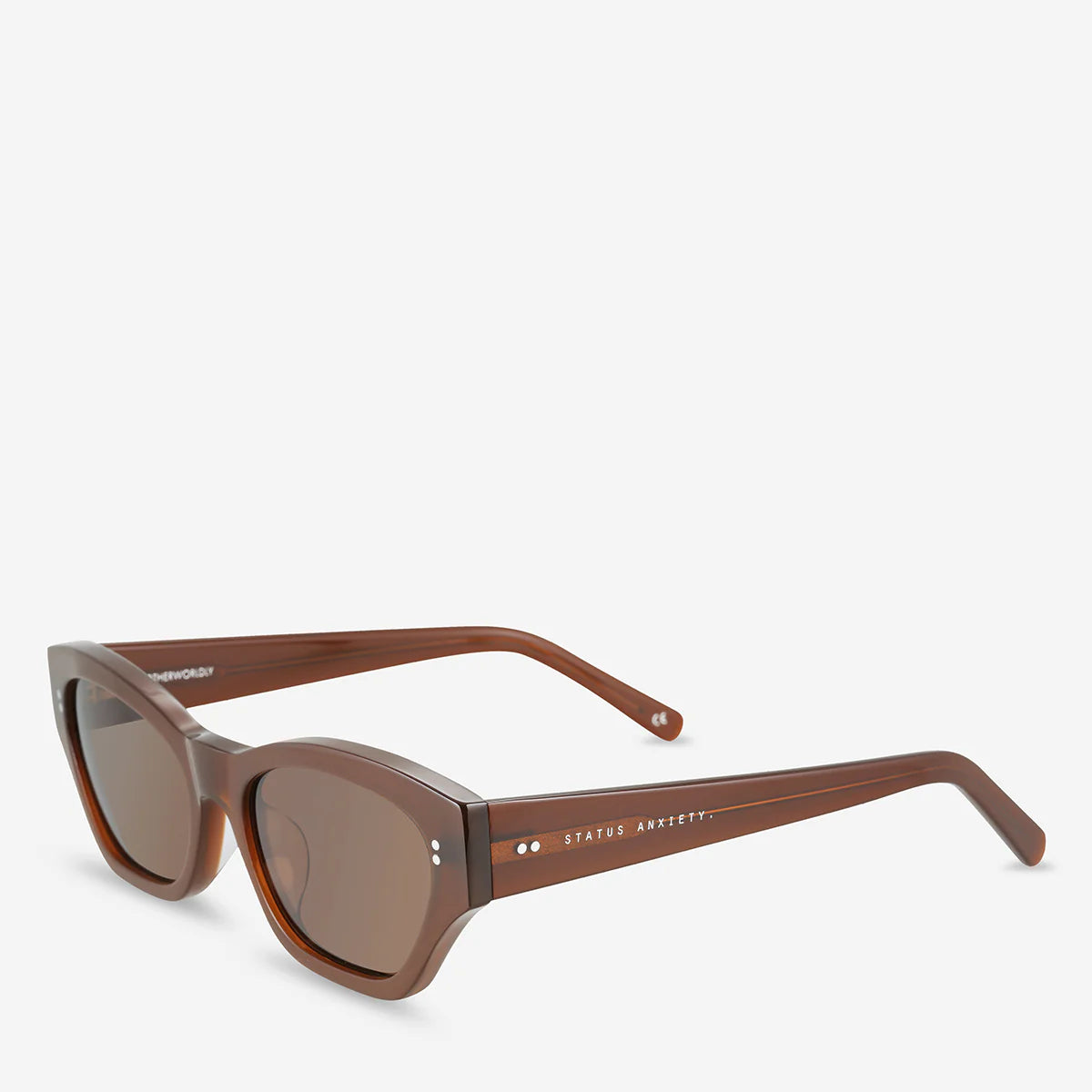 Status Anxiety Otherworldly Sunglasses in Brown