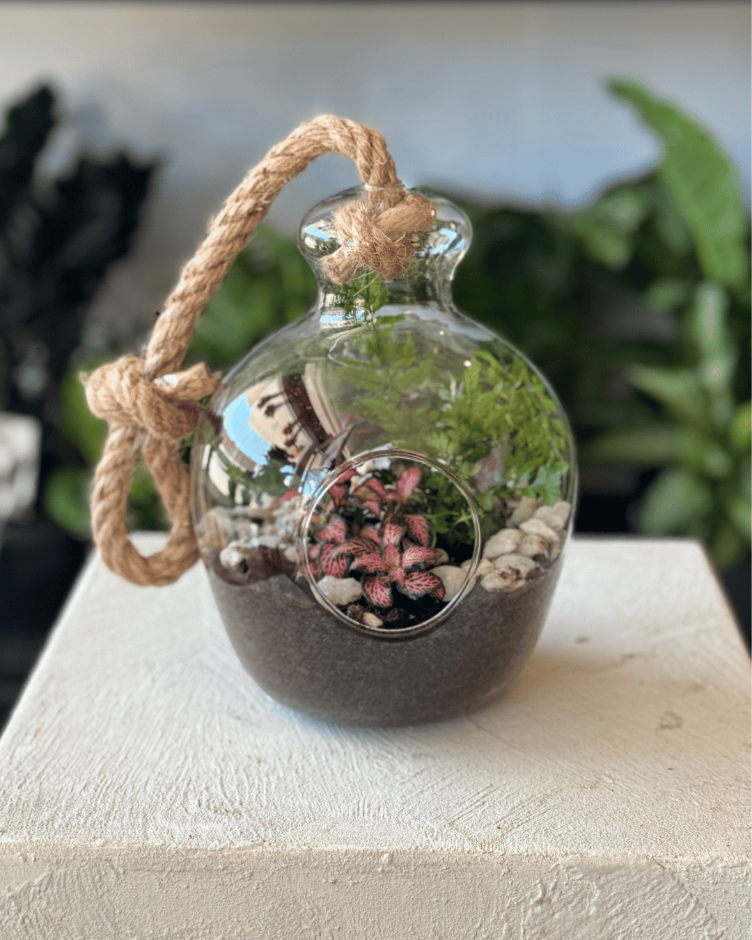 Oval Terrarium with Rope