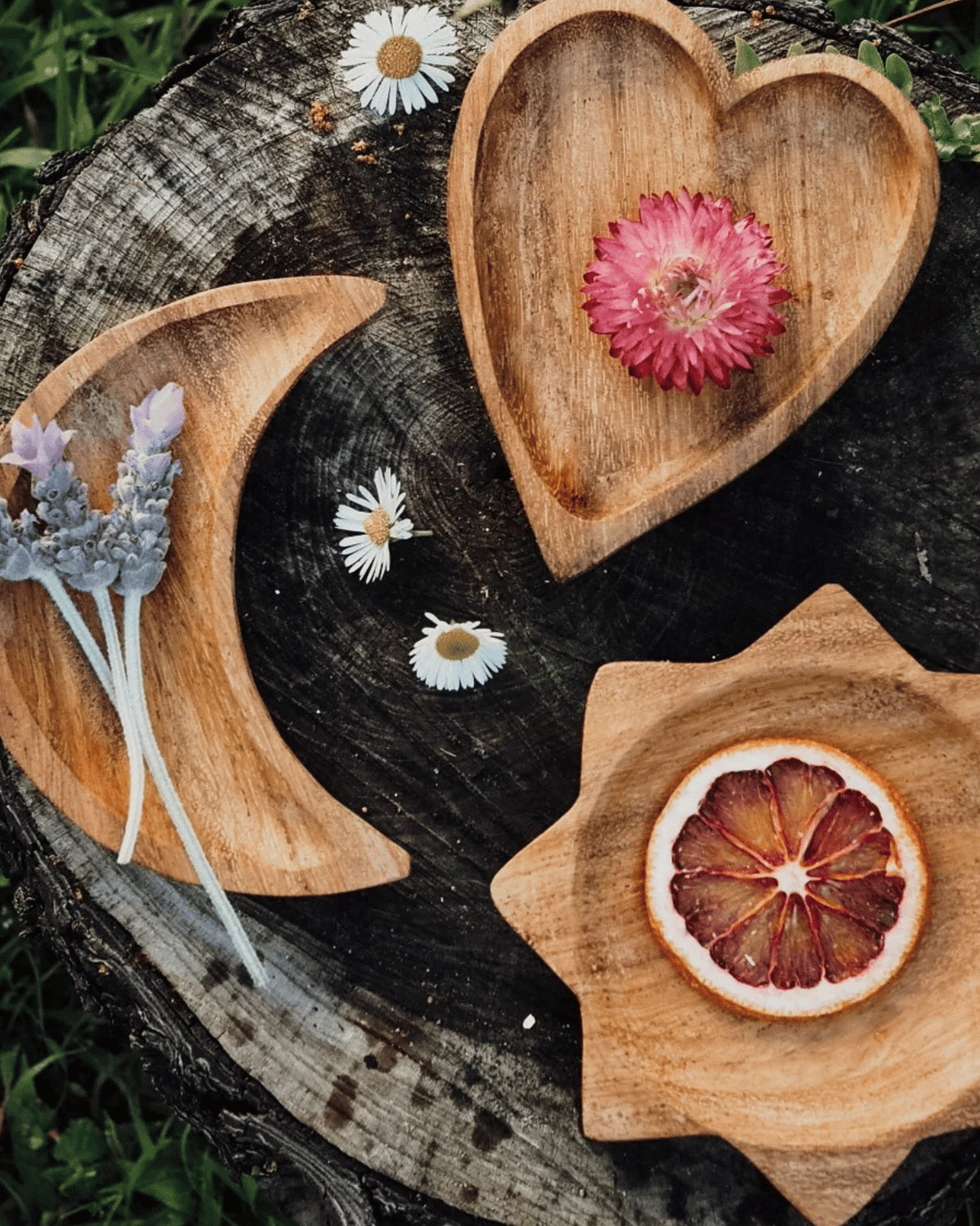 Wooden Sensory Play Toys