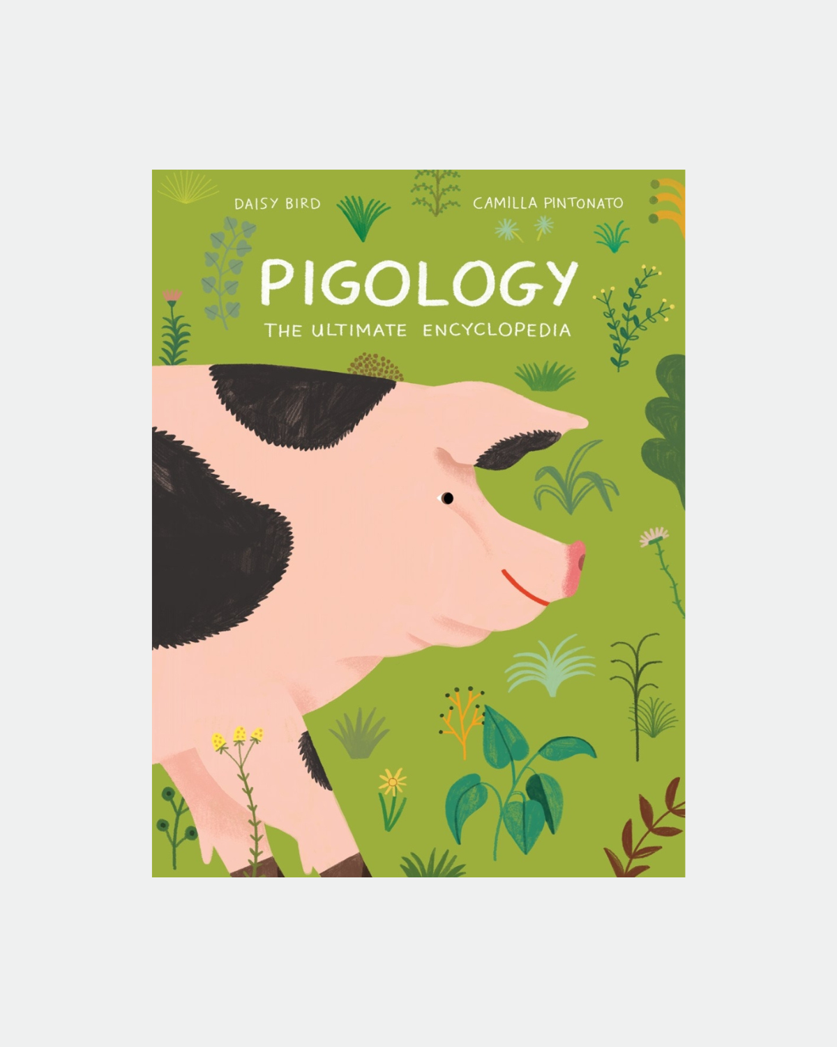 Pigology - The Ultimate Encyclopedia By Daisy Bird