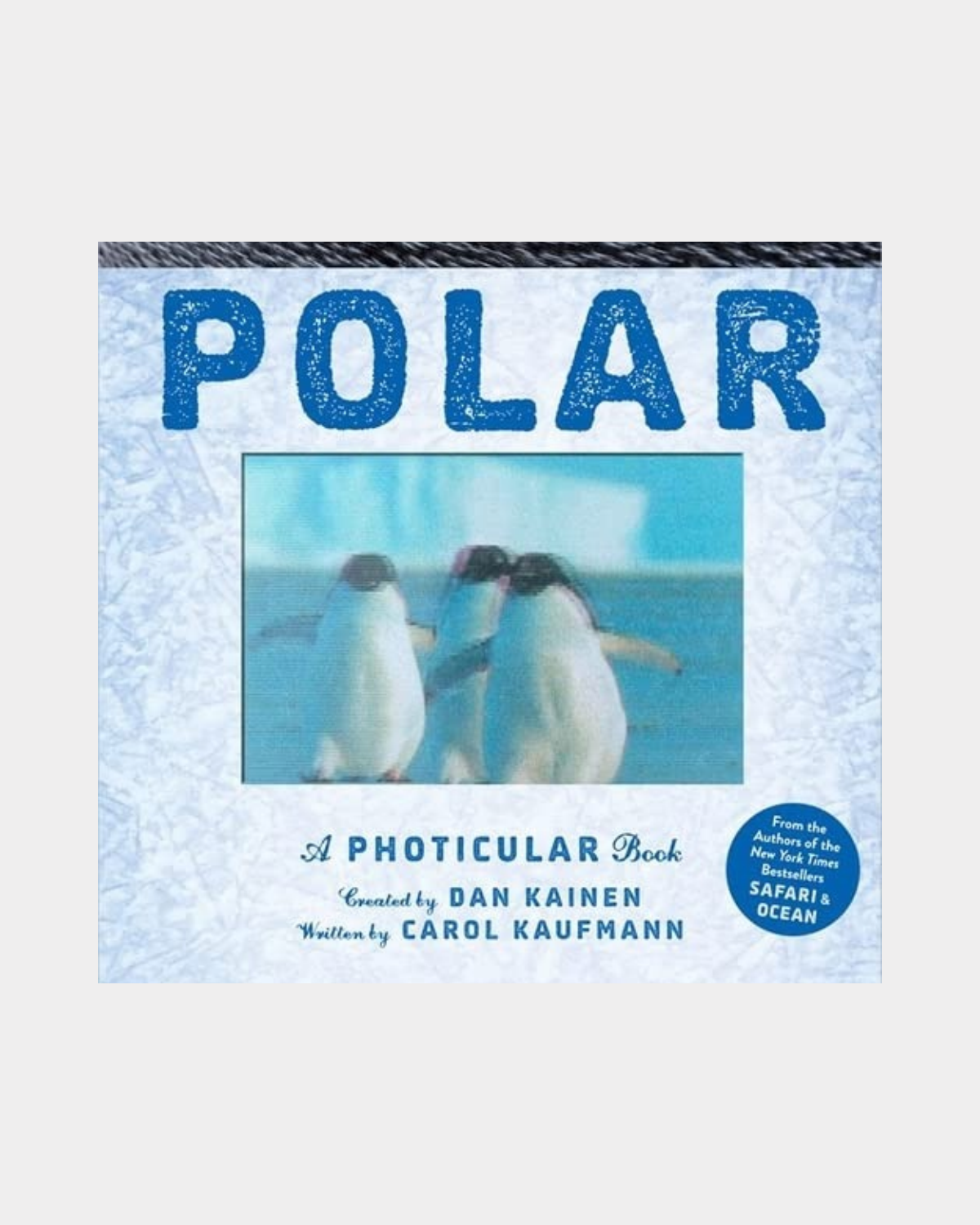 Polar: A Photicular Book by Dan Kainen