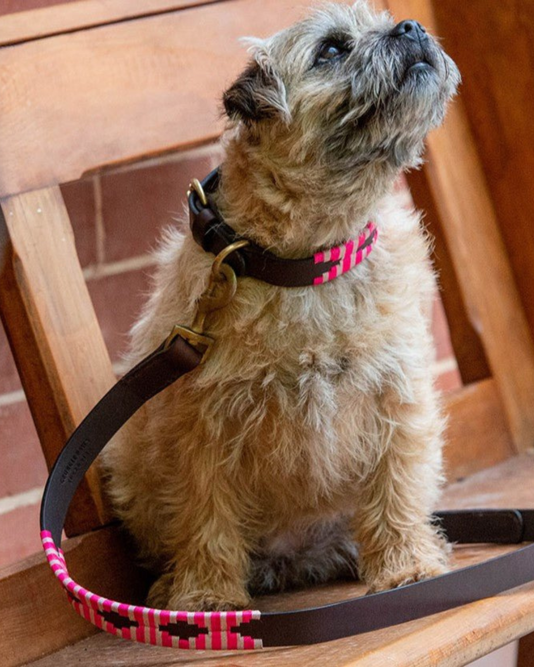 Polo Leather Dog Collar - Pinky by Georgie Paws 