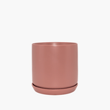 Dusty Rose