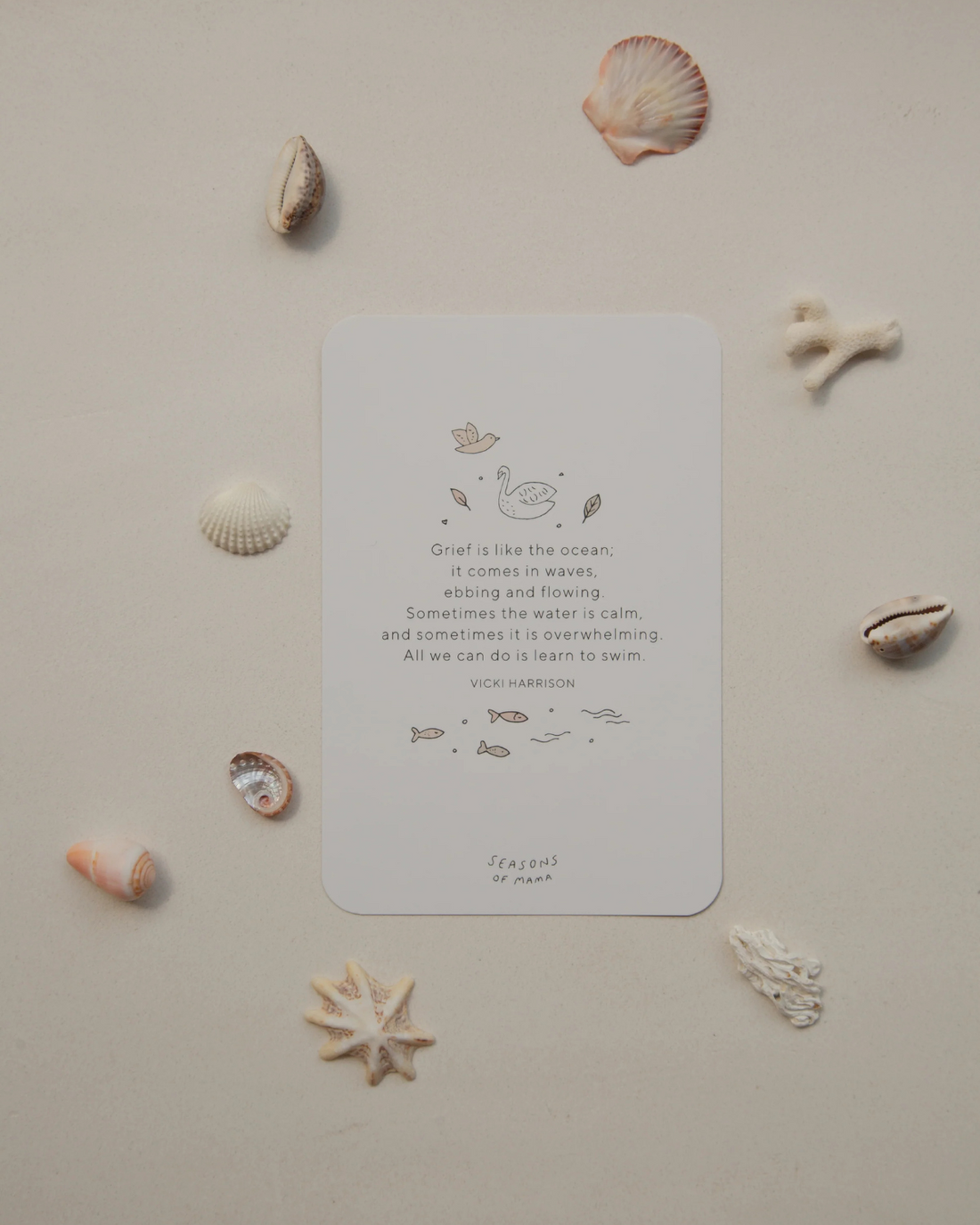 Rainbow Bundle Affirmation Cards by Seasons of Mama