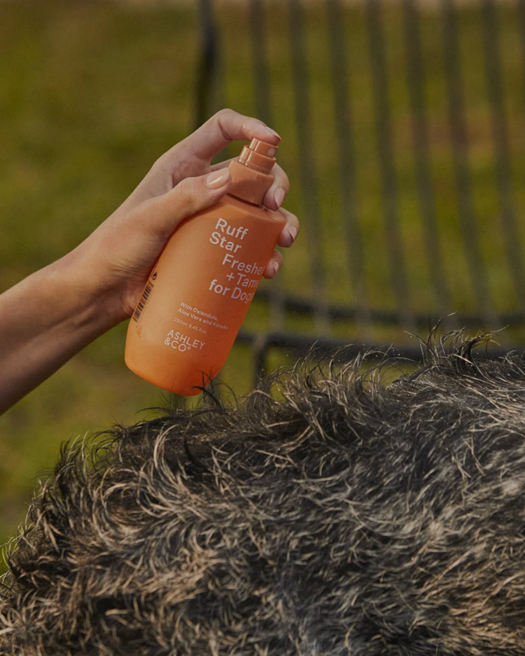 Ruff Star Freshen &amp; Tame Spray by Ashley &amp; Co - 250ml 