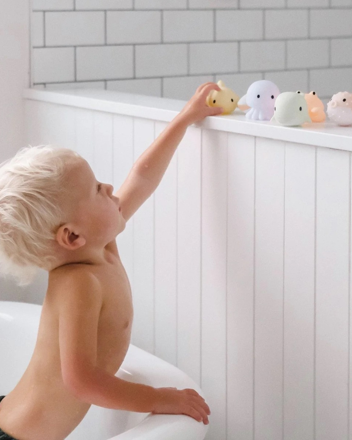 Sea Animal Splash Toys - Ocean Friends by SUNNYLiFE 