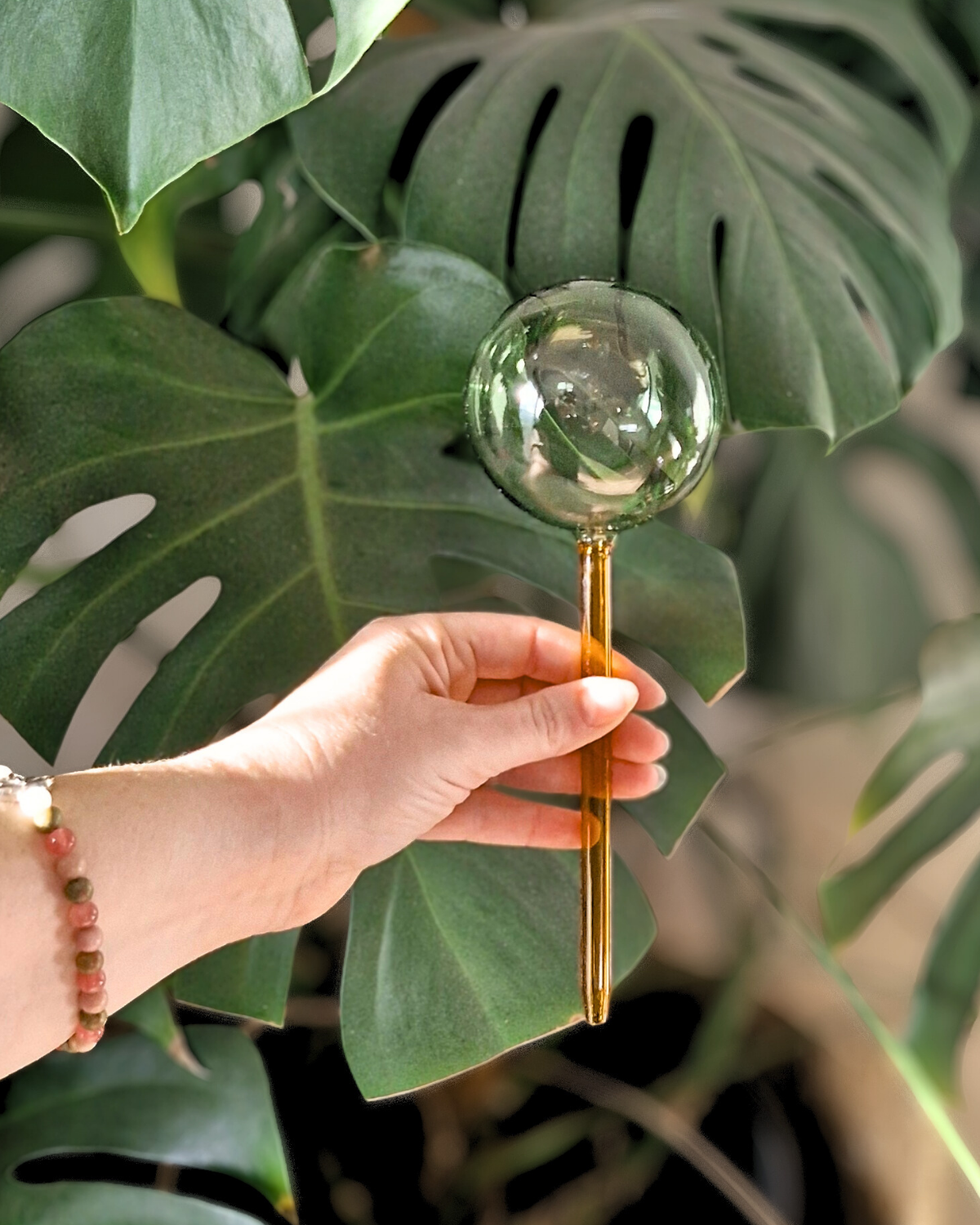Self-Watering Globe by We The Wild 