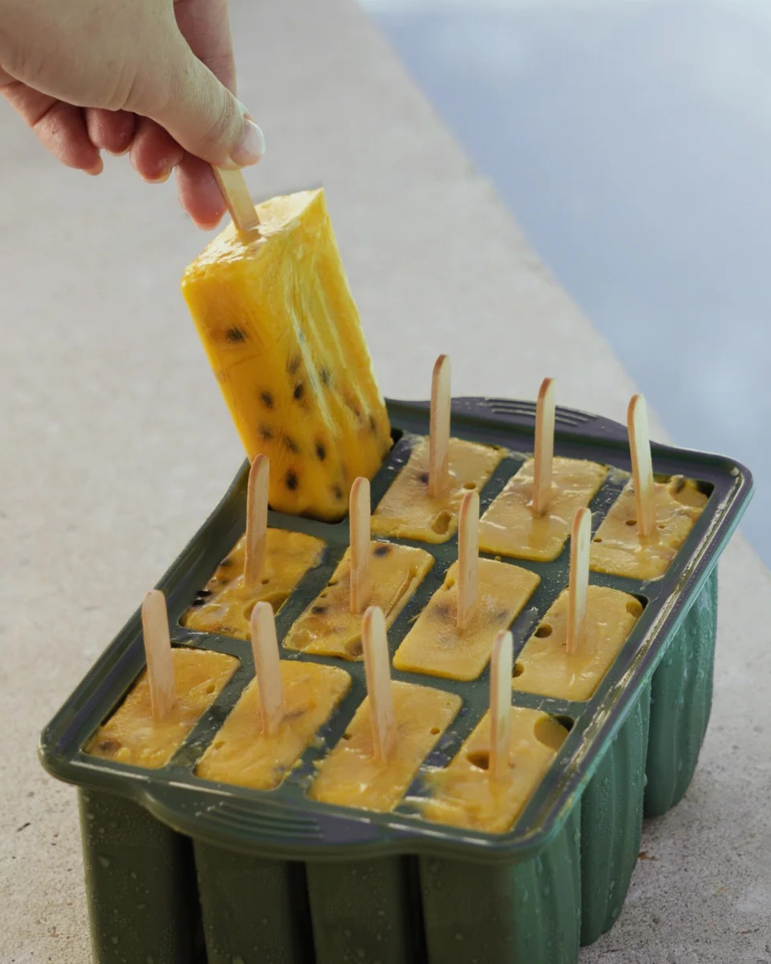 Seed &amp; Sprout Silicone Icy Pole Mould 