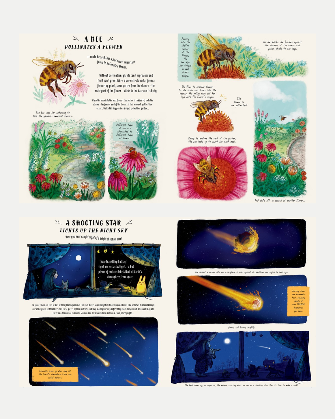 Slow Down - 50 Mindful Moments in Nature