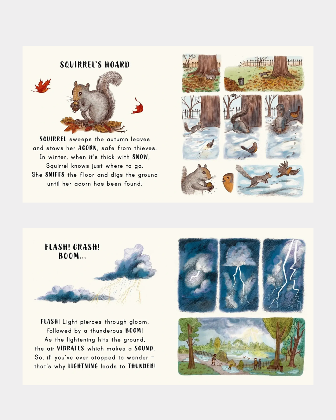 Slow Down... in the Park - Board Book by Freya Hartas