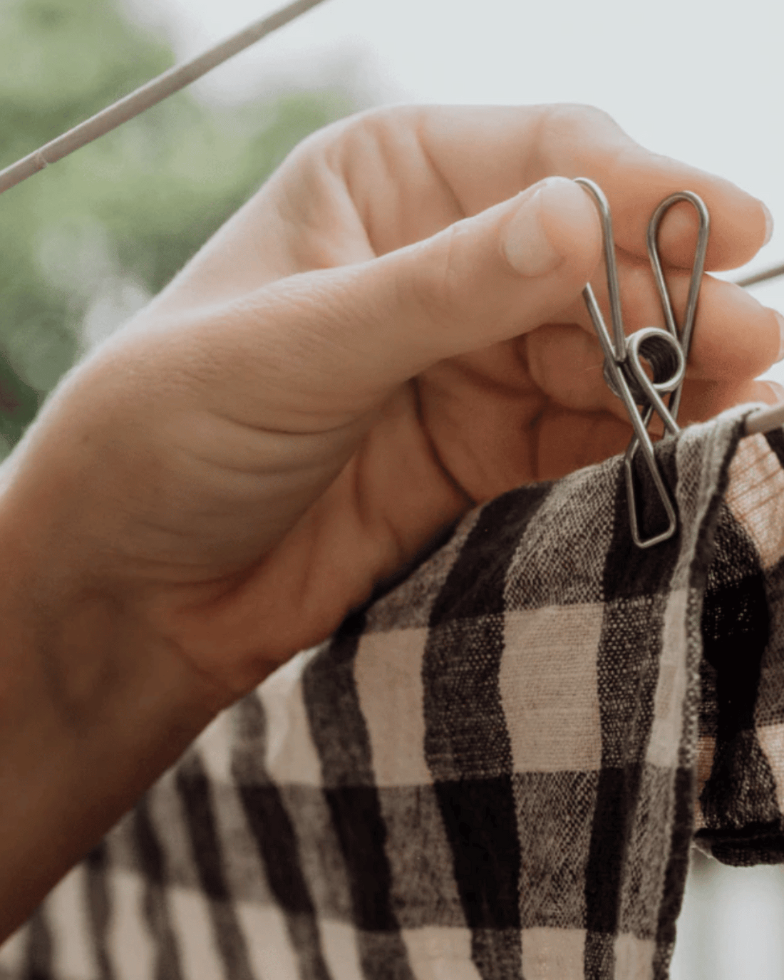 Seed & Sprout Stainless Steel Pegs (20pk)