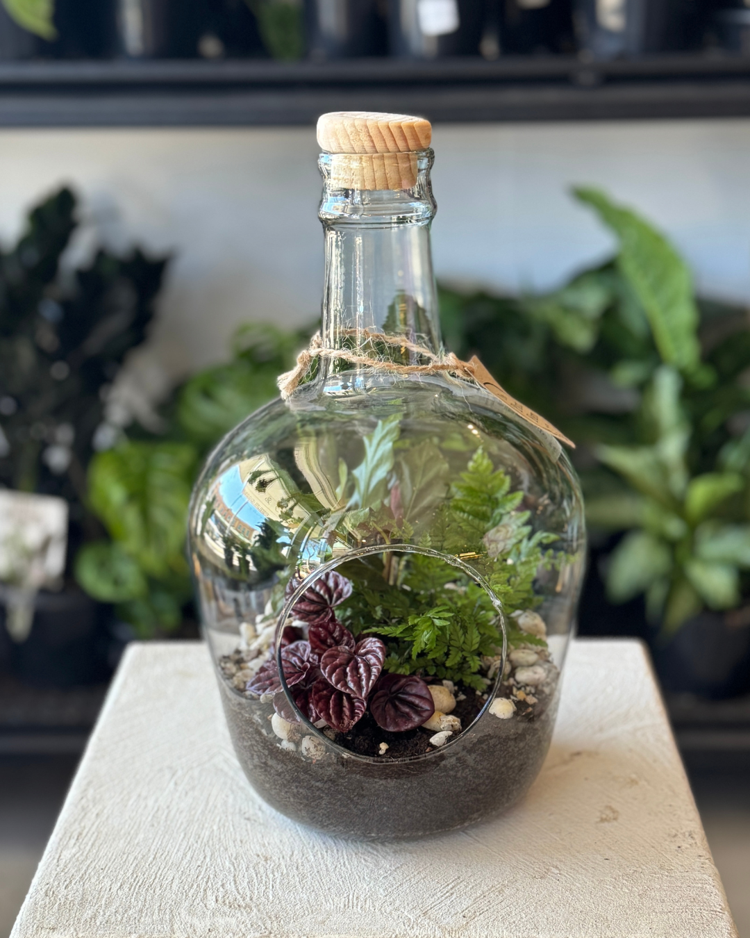 Tall Terrarium