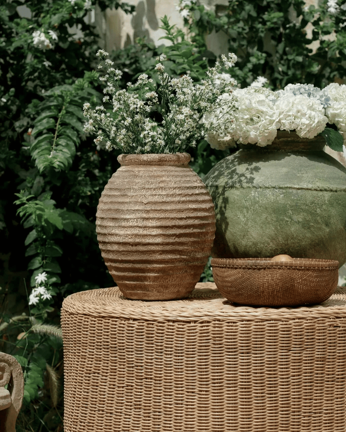 The Alfie Pot by Black Salt Co