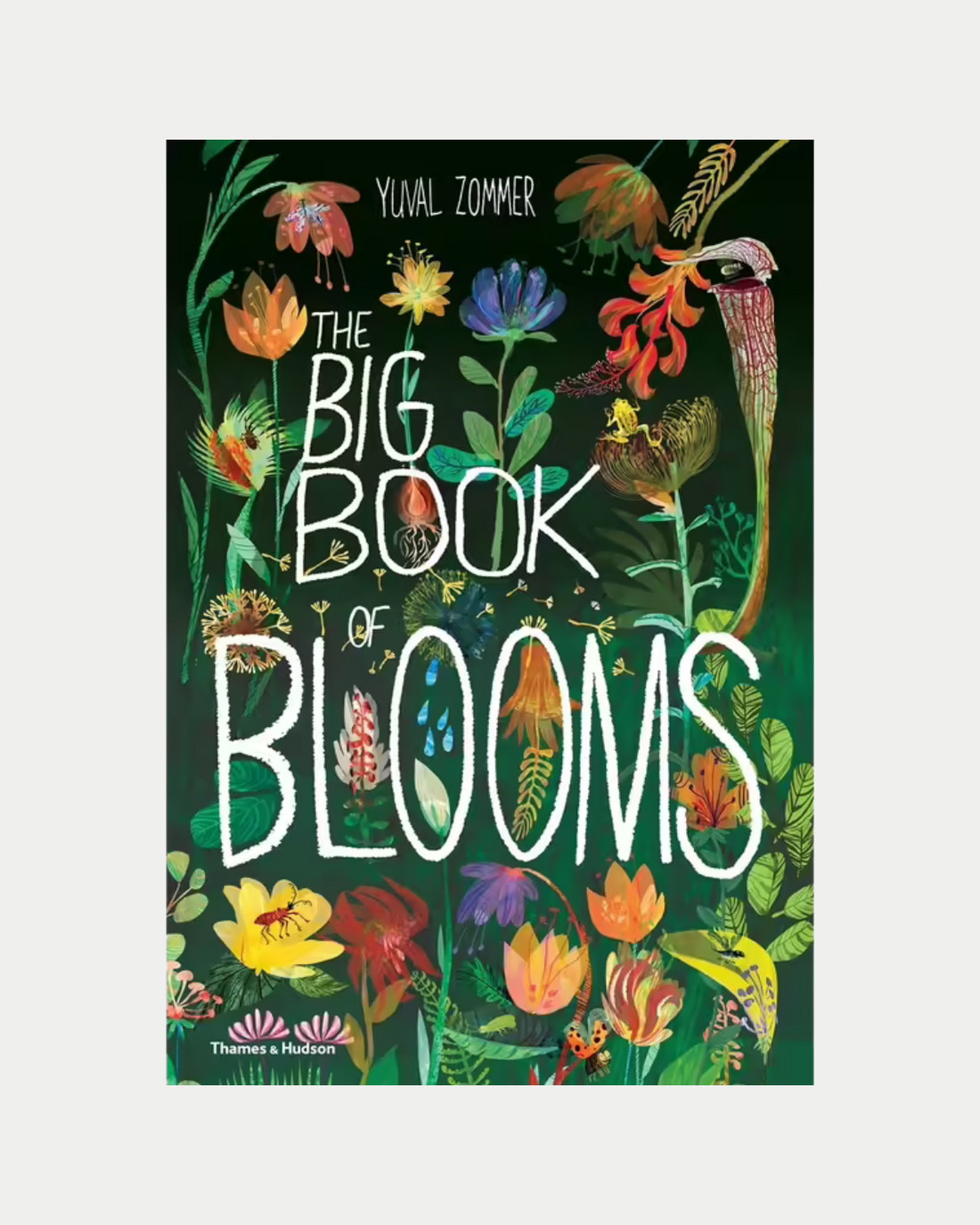 The Big Book of Blooms - Children&