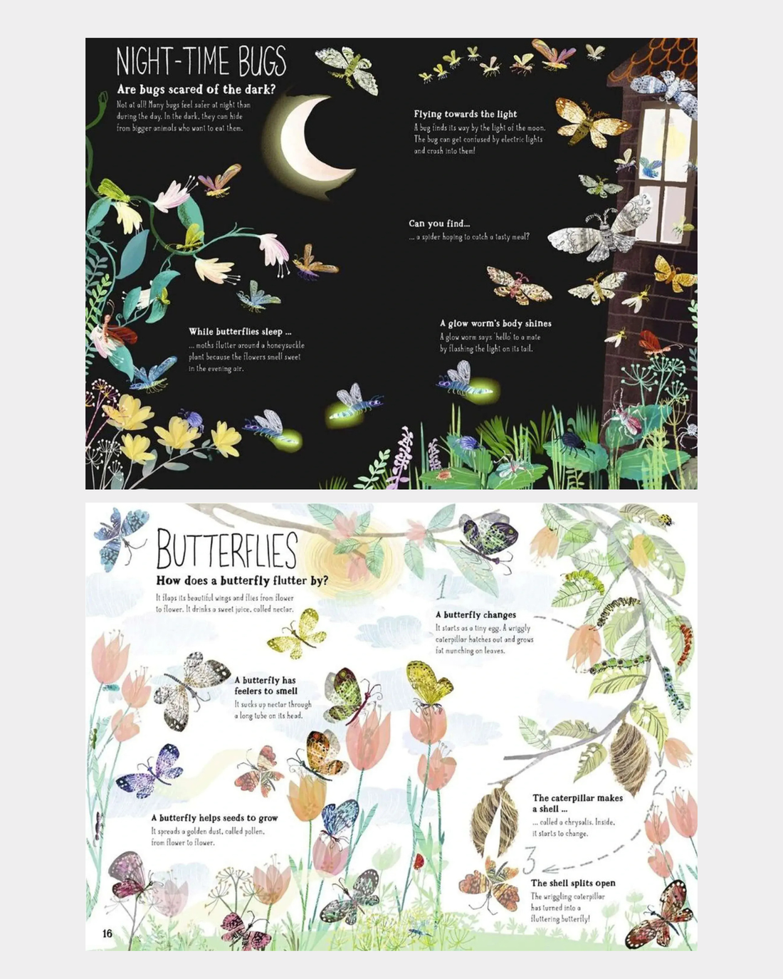 The Big Book of Bugs - Children&