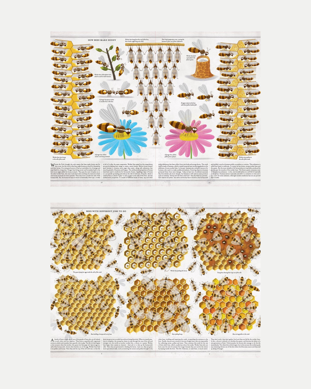 The Book of Bees ❘ Book by Piotr Socha 