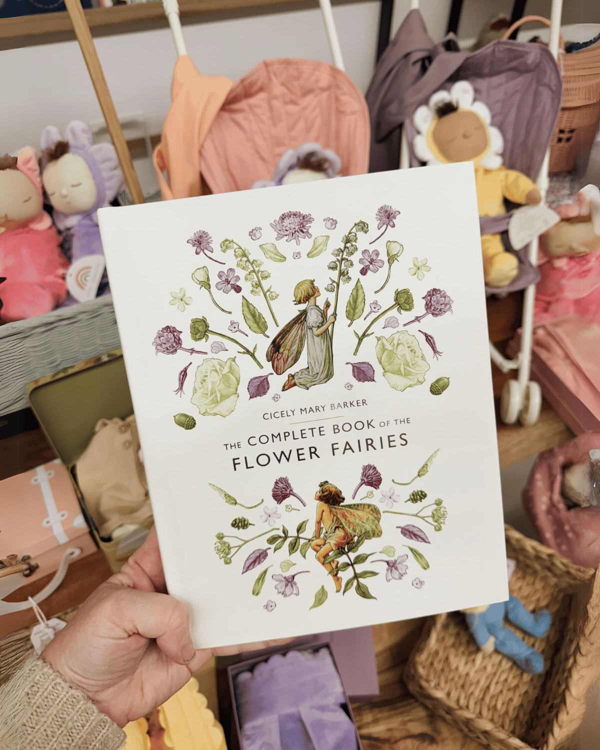Flower Fairies Book for Kids