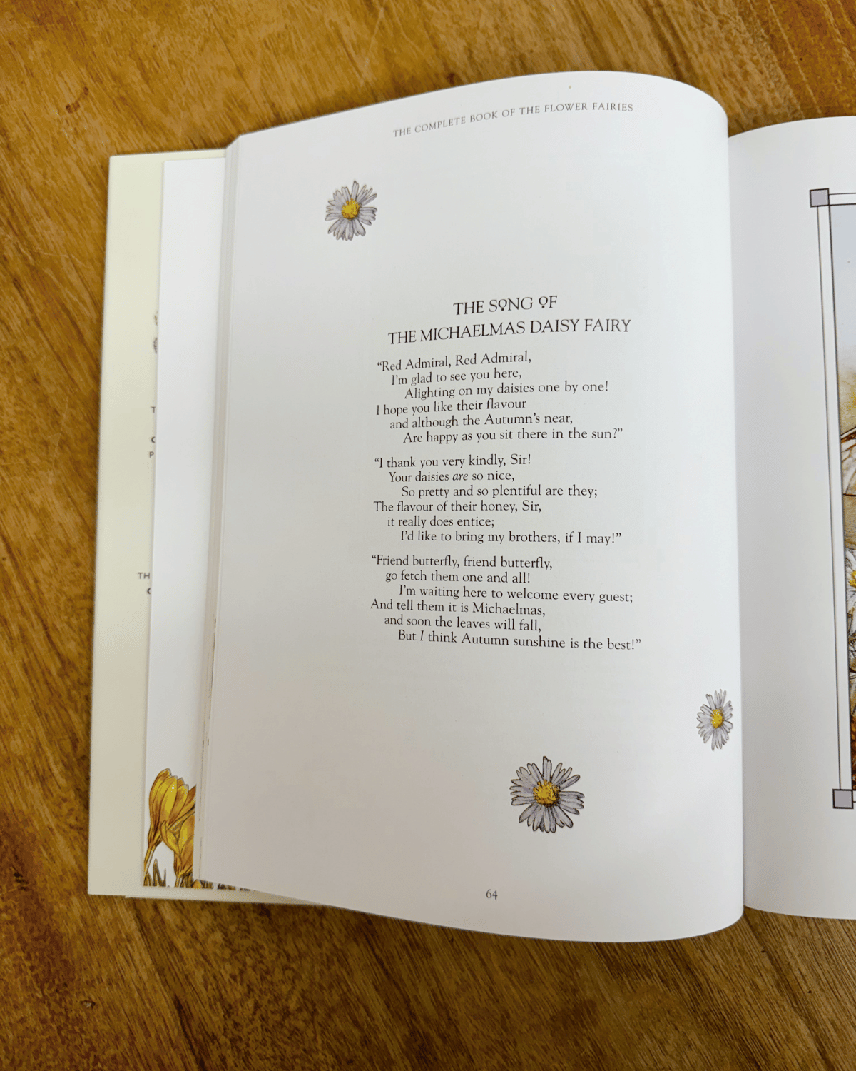 Flower Fairies Book for Kids