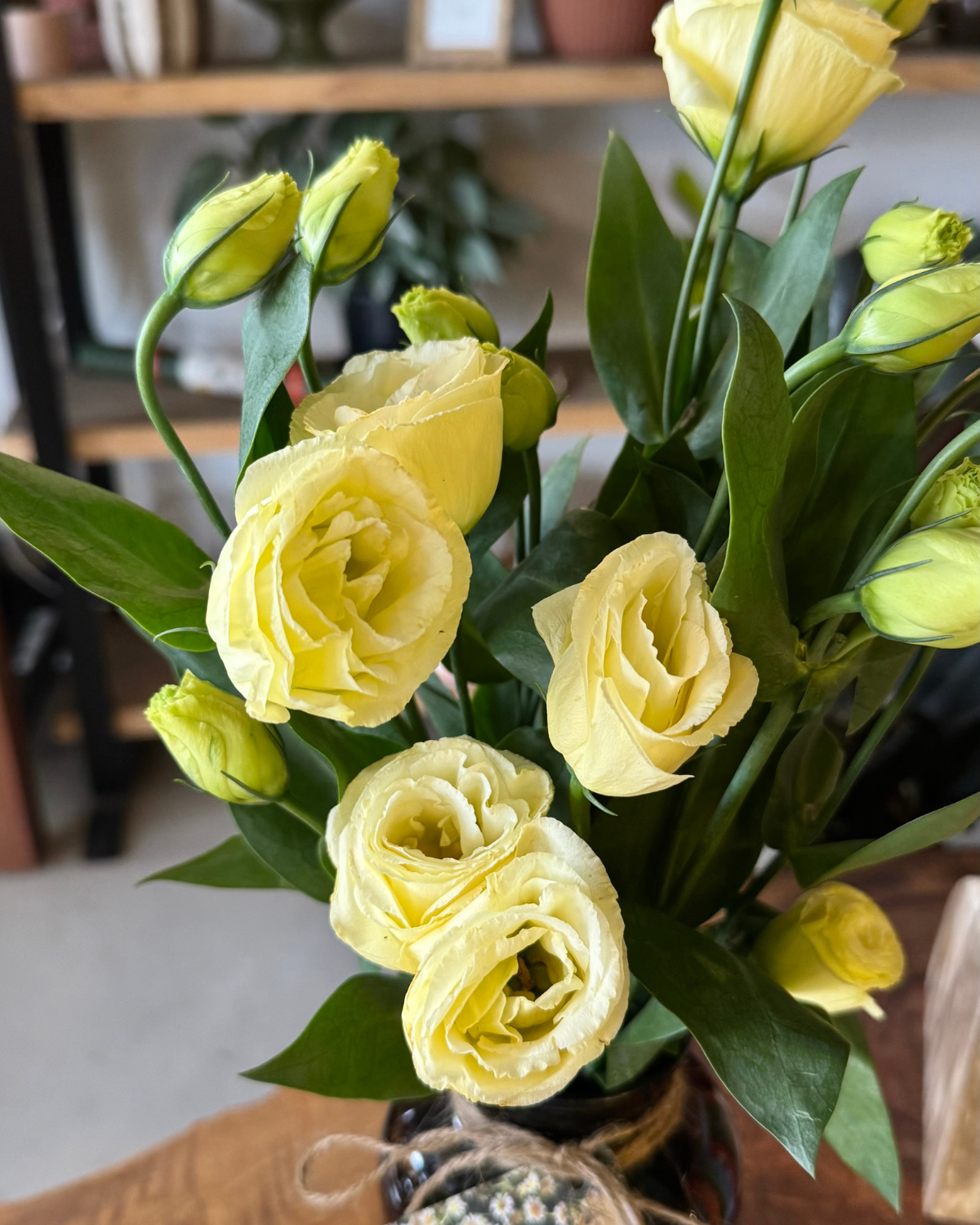 The Flora Bar Jars / Lisianthus