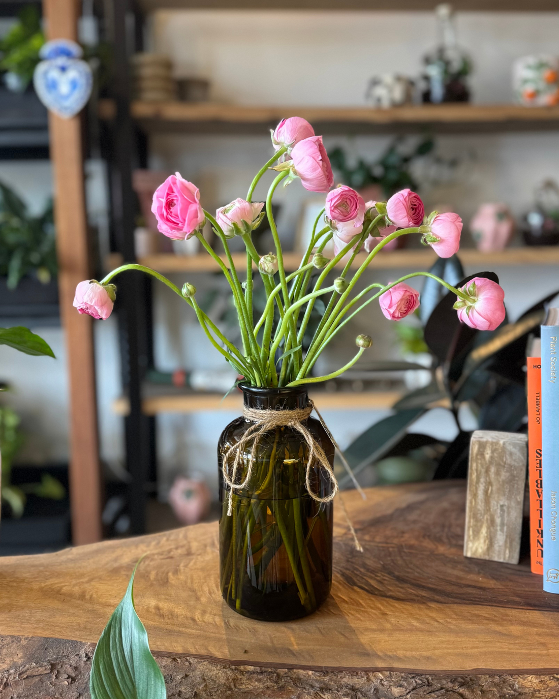 The Flora Bar Jars / Ranunculus