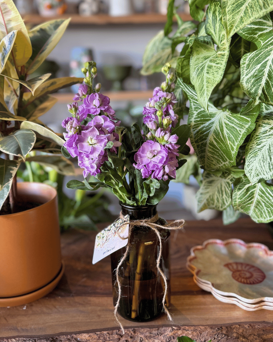 Muswellbrook Florist - Flower Delivery Polly &amp; Co