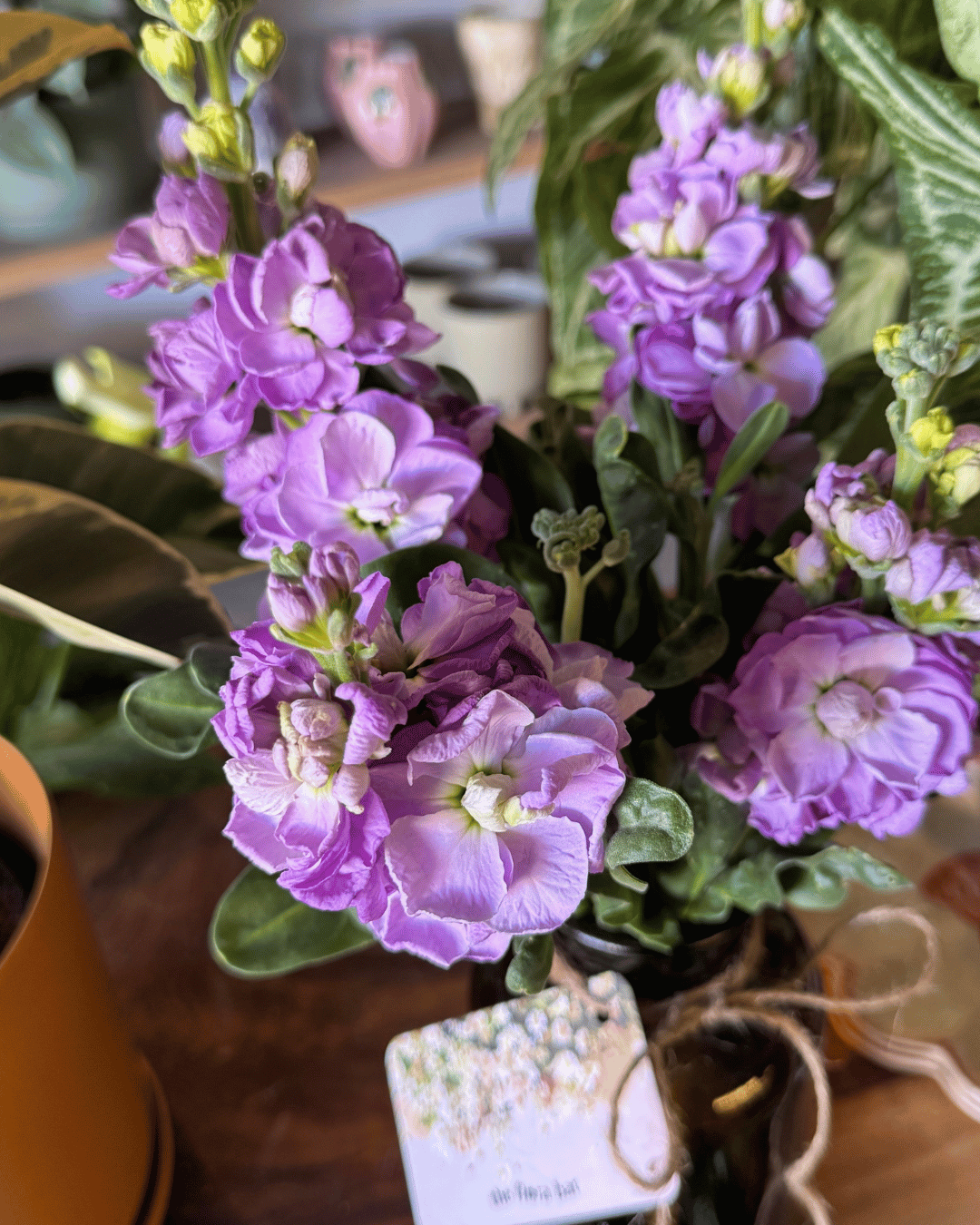Muswellbrook Florist - Flower Delivery Polly &amp; Co