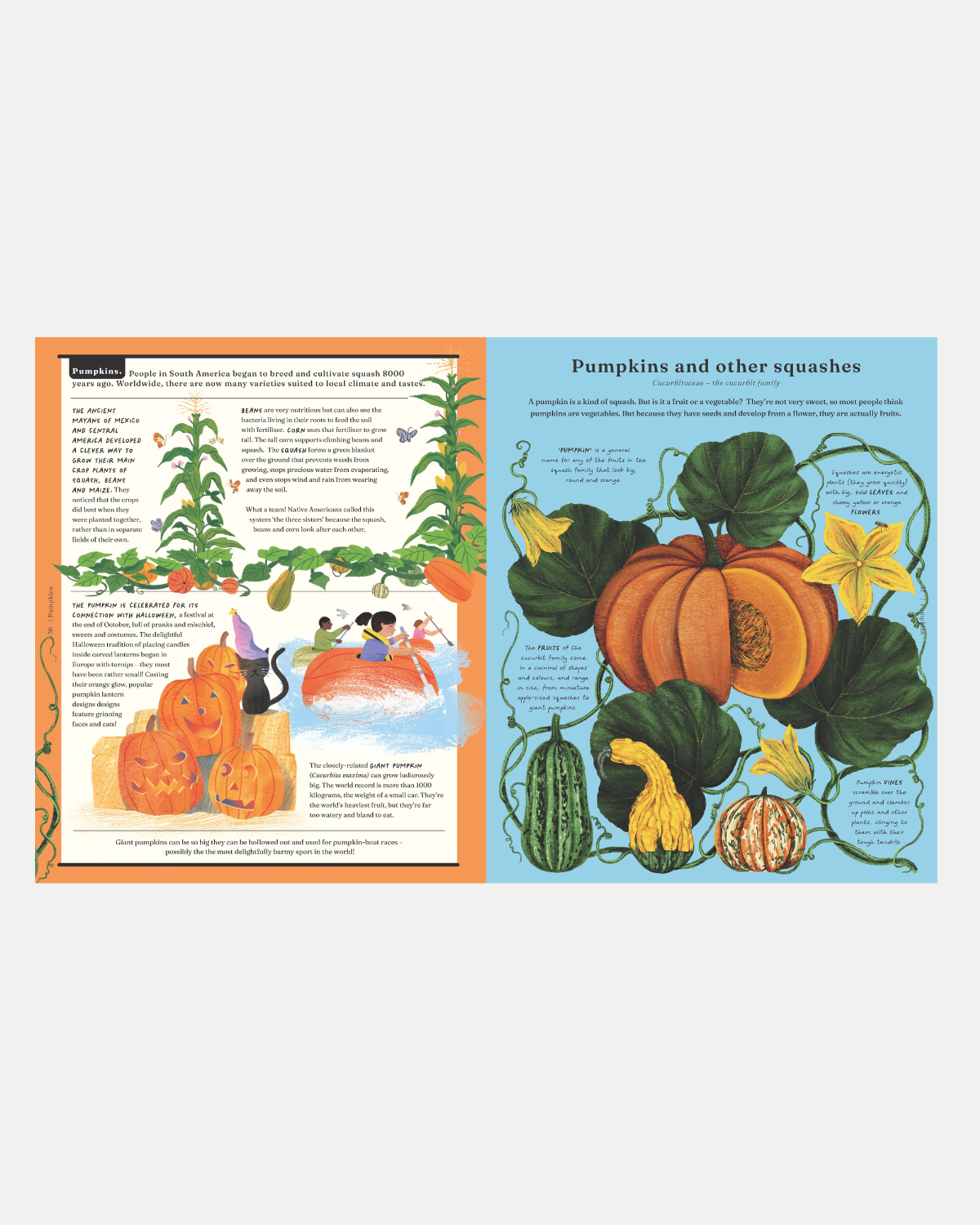 The Stuff that Stuff is Made of Children&