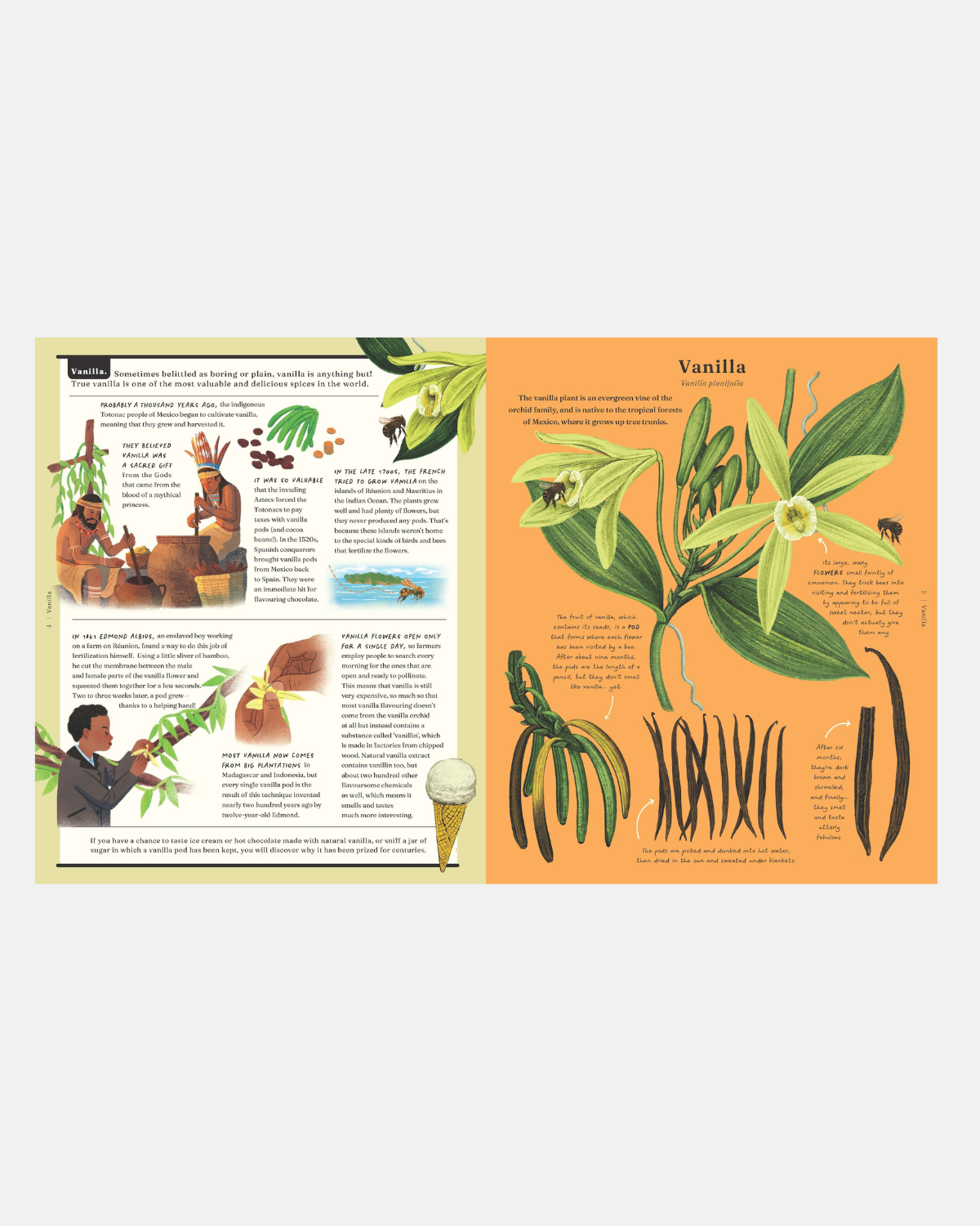 The Stuff that Stuff is Made of Children&