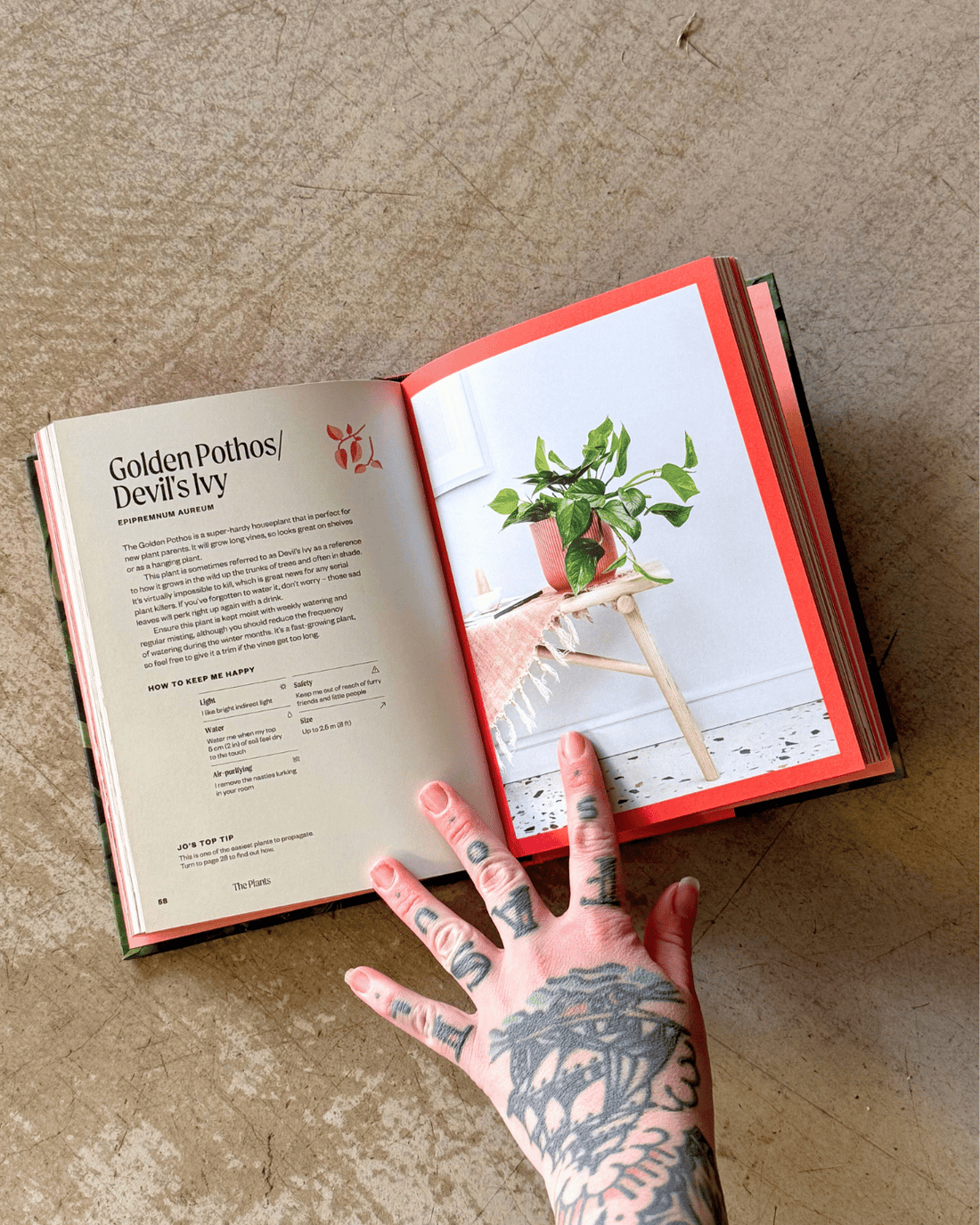 The Unkillables by Jo Lambell