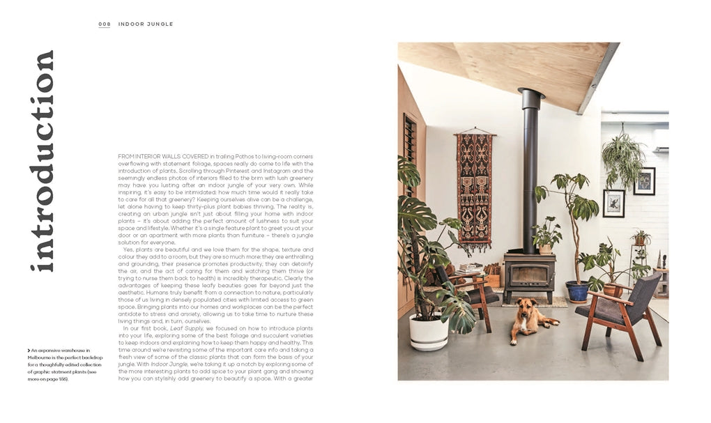 Leaf Supply Guide to Creating Your Indoor Jungle