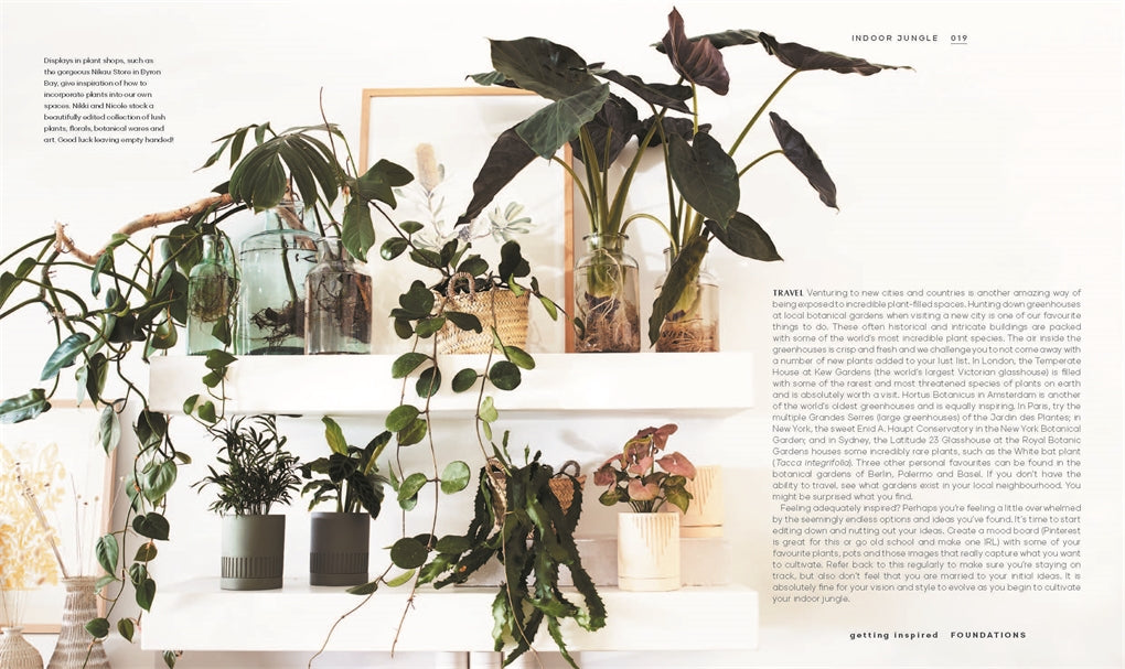 Leaf Supply Guide to Creating Your Indoor Jungle