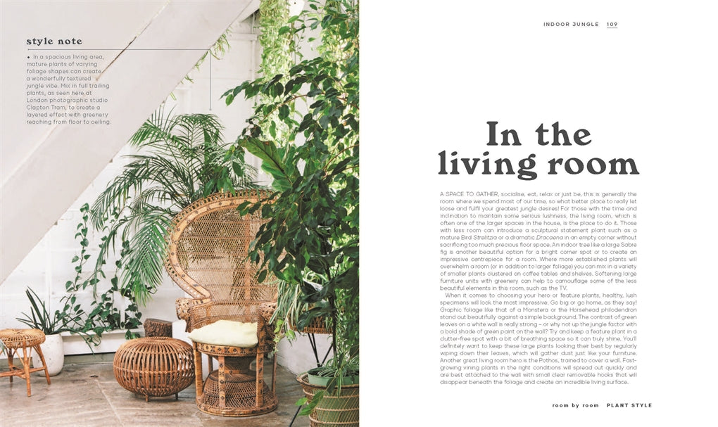 Leaf Supply Guide to Creating Your Indoor Jungle