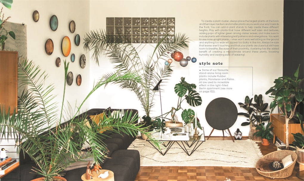 Leaf Supply Guide to Creating Your Indoor Jungle