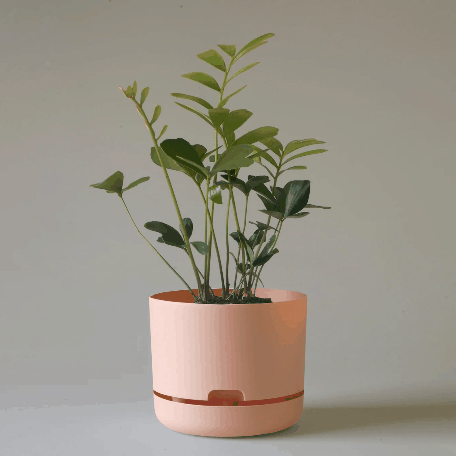 Mr Kitly Selfwatering Plant Pot (215mm - Pale Apricot)
